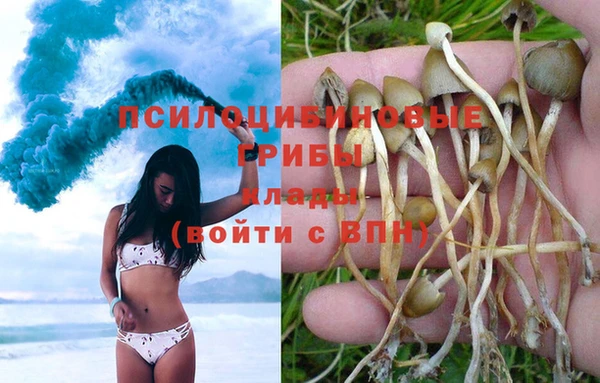 МДПВ Киреевск