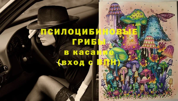 МДПВ Киреевск