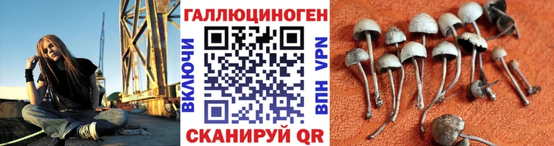 наркота гидра зеркало Галлюциногенные грибы Psilocybe Карталы