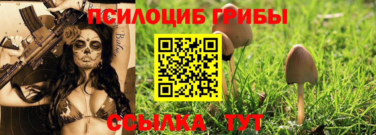 Карталы  Галлюциногенные грибы мухоморы  Галлюциногенные грибы MAGIC MUSHROOMS  цена   Вход с VPN 