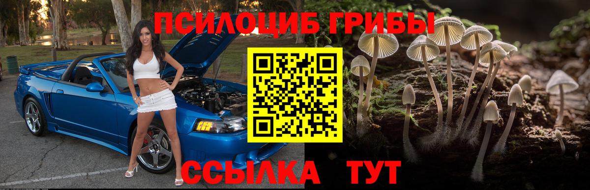 Псилоцибиновые грибы ЛСД Карталы